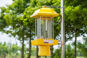 重慶榮昌區：應用太陽能殺蟲燈防治蟲害！